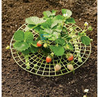 30cmx9.5cm Yellow Plastic Diy Strawberry Plant Supports