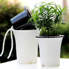ISO9001 125mm Smart Herb Monstera Self Watering Houseplant Pots