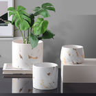 Nordic indoor cup 9cm small succulent white ceramic flower pots