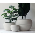 CE  Deep Collar 50X33cm Decorative Wide BowlCeramic Bowls For Plants