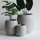 deep size egg shaped cement flower planter have random grain on surface for small tree