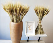 OEM Tall Stems Harvest 70cm Dried Wheat Dried Flower Bunches