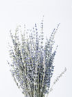 50CM Lavender Flower Arrangements