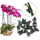 Vine Support 1cm Width Plastic Clamp For Butterfly Orchid Clips