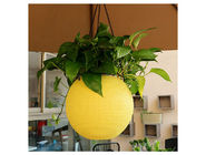 Ball Shape Hanging Up 15cm Self Watering Houseplant Pots With Chain