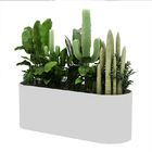 201 Customized 1mm Ss Planter Drawing Design Service Available