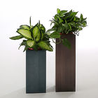Outdoor Customized Tall Cuboid Stainless Steel Planter 316 Grade