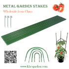 plastic coated steel tomato stakes with antiskid surface and pointed end