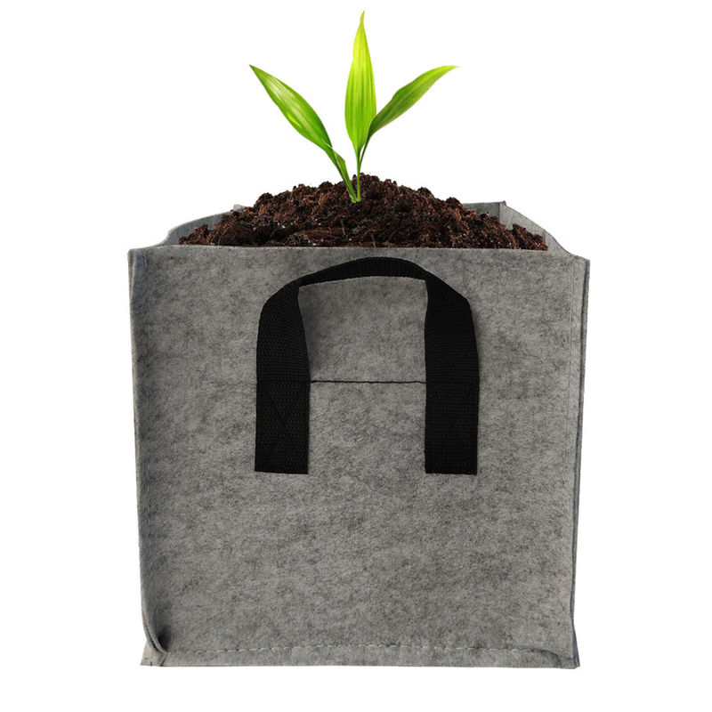 85g 2 Handles Quadratus Aeration 2 Gallon Cloth Planting Grow Bags