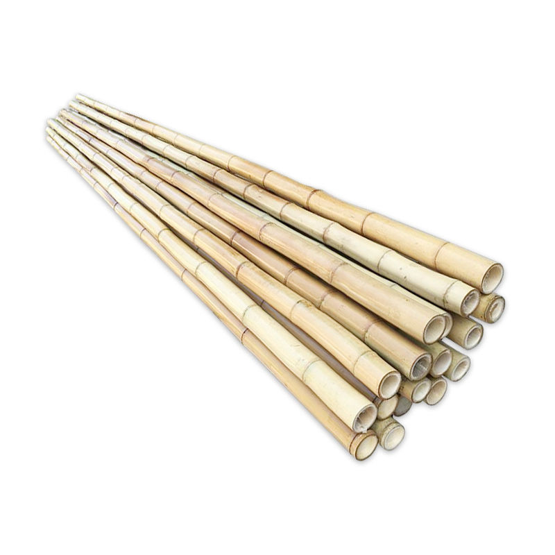 Gardending 4M 12 Foot Decorative Long Thick Bamboo Pole