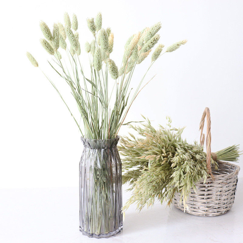 Home Decorate 40cm Green Bristlegrass Dried Flower Bunches